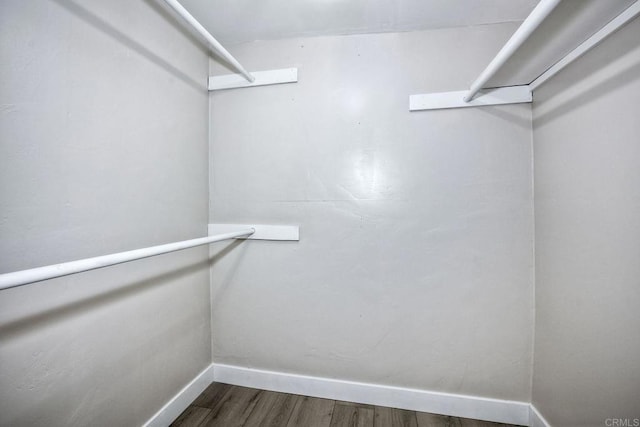 walk in closet featuring dark hardwood / wood-style floors