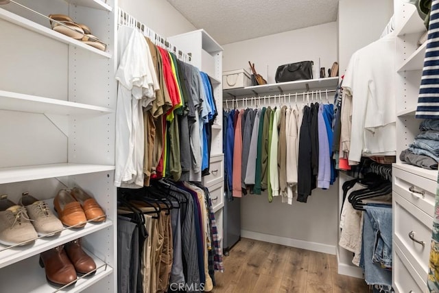 spacious closet with hardwood / wood-style flooring