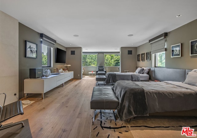 bedroom featuring multiple windows and light hardwood / wood-style flooring