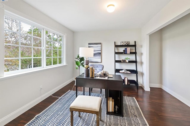 office space with dark hardwood / wood-style flooring