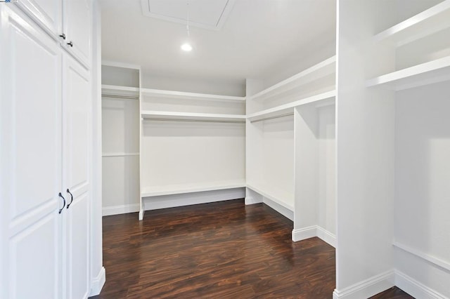 spacious closet with dark hardwood / wood-style floors