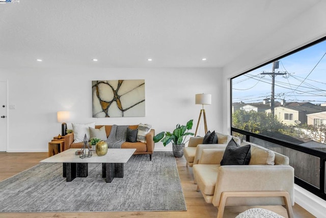 living room featuring light hardwood / wood-style flooring