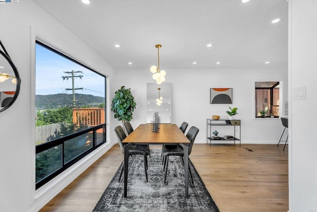 dining space with hardwood / wood-style flooring