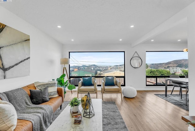 living room featuring a mountain view and hardwood / wood-style floors