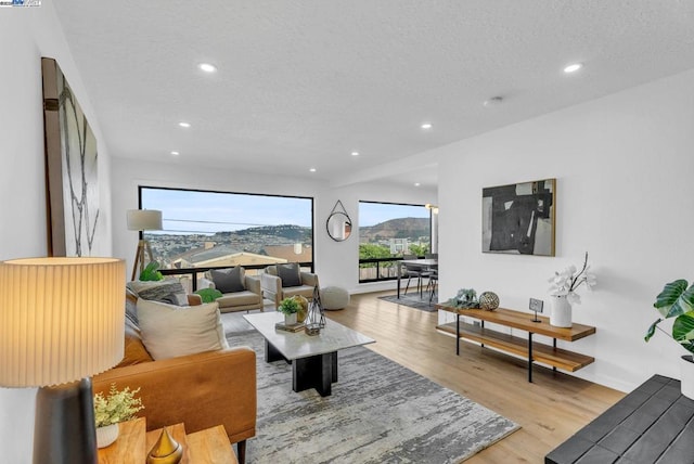 living room featuring a textured ceiling and light wood-type flooring