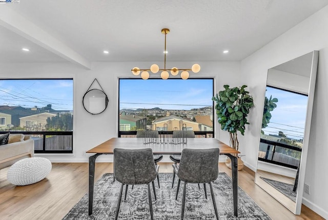 dining area with a healthy amount of sunlight, a chandelier, and light hardwood / wood-style flooring