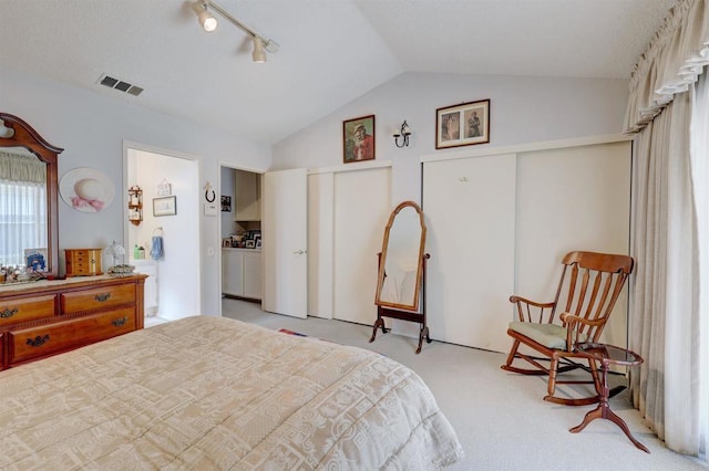 bedroom with vaulted ceiling, two closets, light carpet, and rail lighting