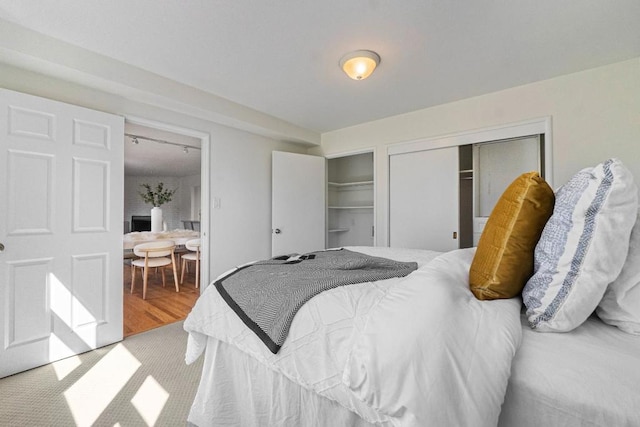 bedroom featuring wood-type flooring, rail lighting, and two closets