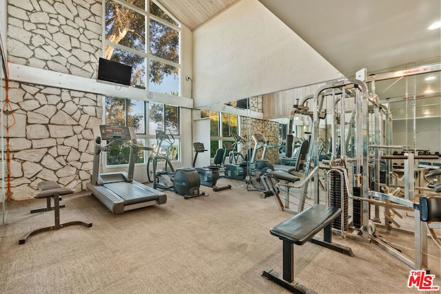 exercise room featuring carpet flooring and high vaulted ceiling