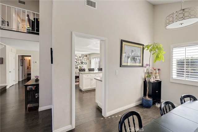 dining room with a high ceiling, plenty of natural light, and dark hardwood / wood-style floors