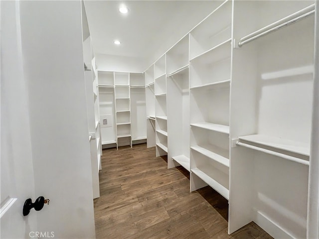 walk in closet featuring dark hardwood / wood-style floors