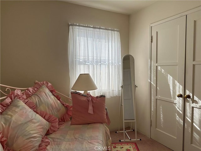 bedroom with carpet floors and multiple windows