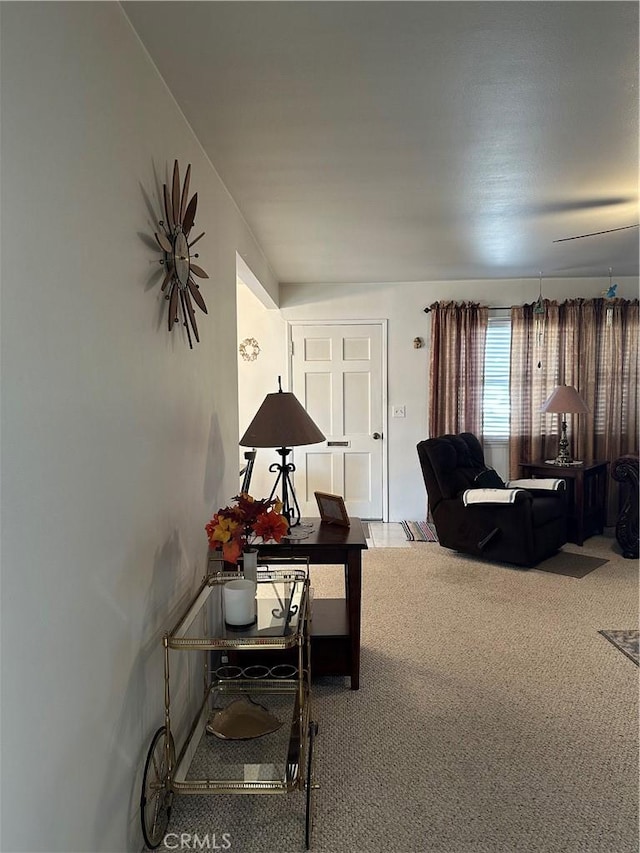 living room featuring carpet