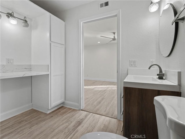 bathroom featuring hardwood / wood-style flooring and vanity