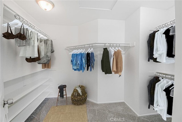 walk in closet with carpet floors