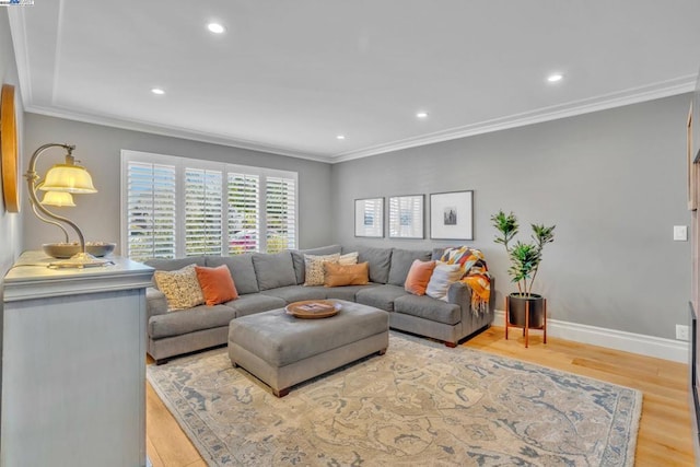 living room with crown molding and light hardwood / wood-style flooring