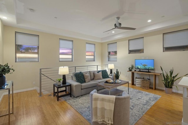 living room featuring a tray ceiling and light hardwood / wood-style floors