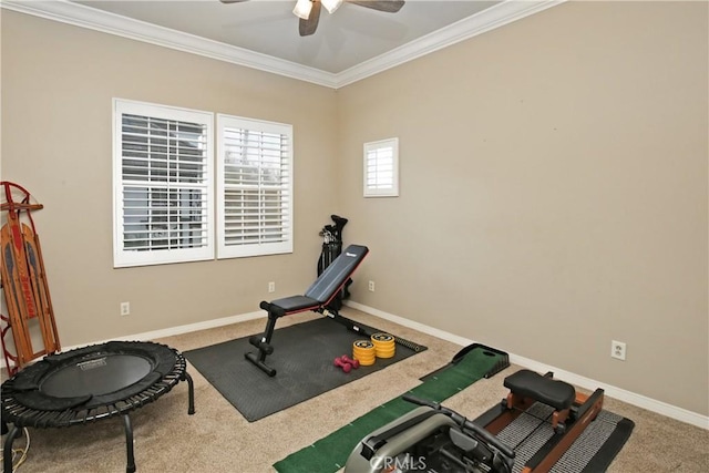 exercise area featuring crown molding, carpet, and ceiling fan