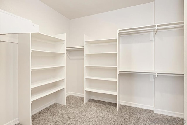 walk in closet with light carpet