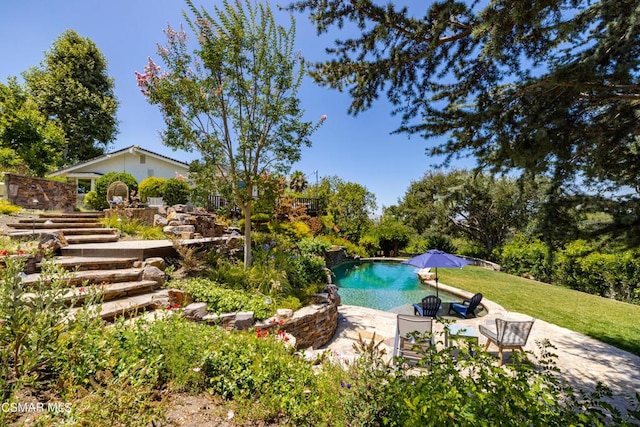 view of pool with a patio area