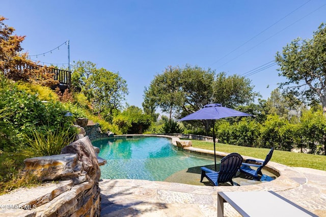 view of swimming pool with a lawn and a patio