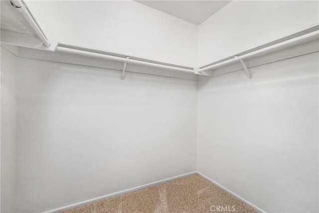 spacious closet with carpet flooring