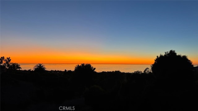 nature at dusk with a water view