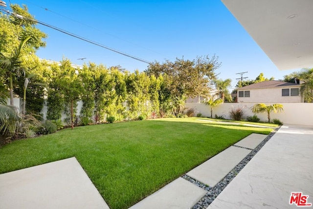 view of yard with a patio area