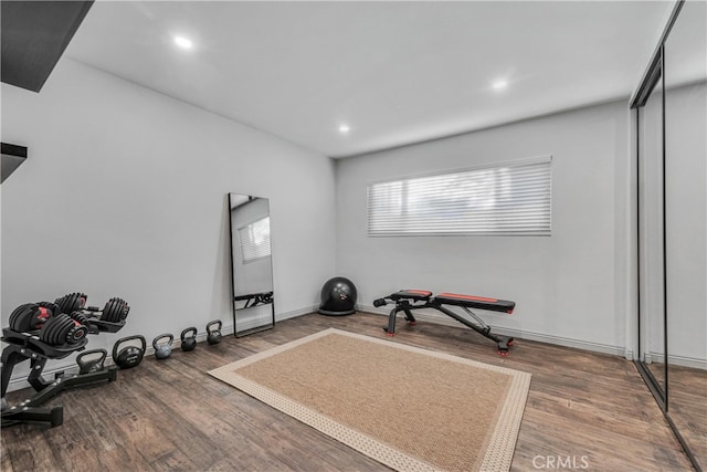 exercise area featuring wood-type flooring