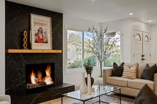 living room with a premium fireplace and a wealth of natural light