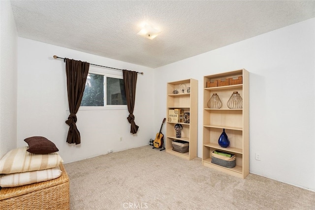 interior space featuring carpet floors and a textured ceiling