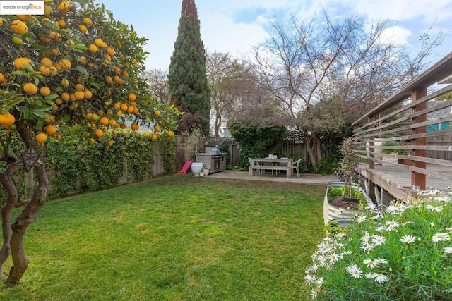 view of yard with a patio