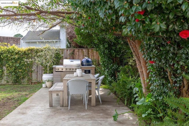 view of patio / terrace featuring grilling area