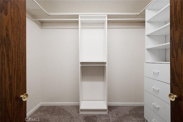 spacious closet with carpet floors