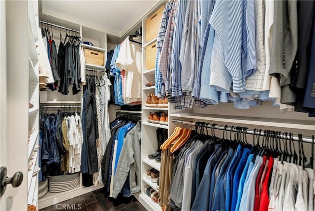 spacious closet featuring wood-type flooring