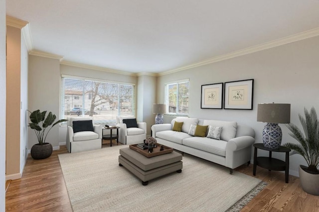 living room featuring hardwood / wood-style floors and ornamental molding