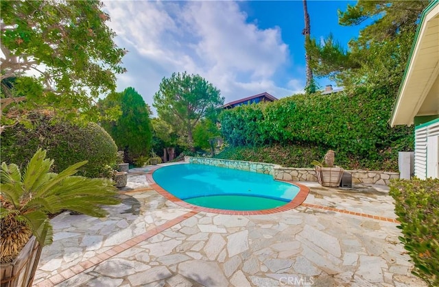 view of pool featuring a patio area