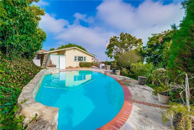 view of swimming pool featuring a patio