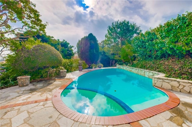 view of swimming pool with a patio area