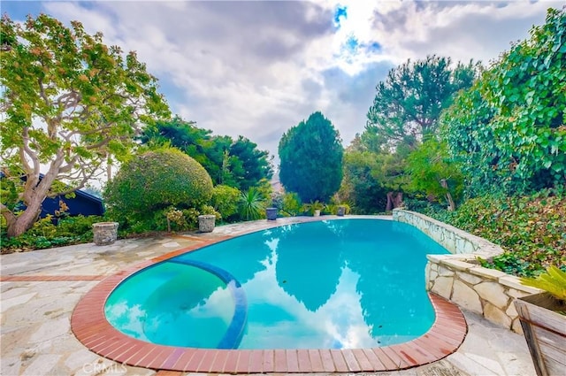 view of swimming pool with a patio area