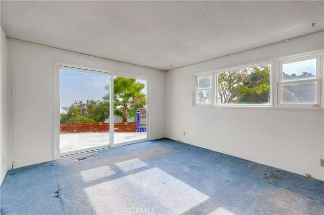 empty room with carpet and a textured ceiling