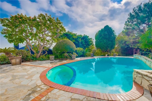 view of swimming pool featuring a patio area