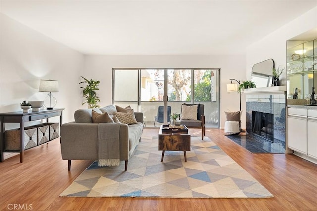 living room featuring a premium fireplace and light hardwood / wood-style floors