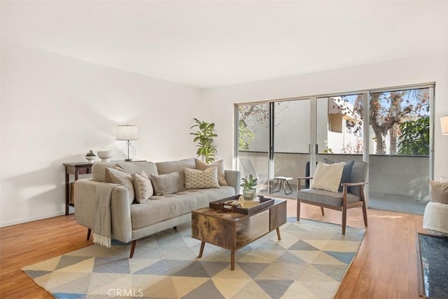 living room with light hardwood / wood-style floors