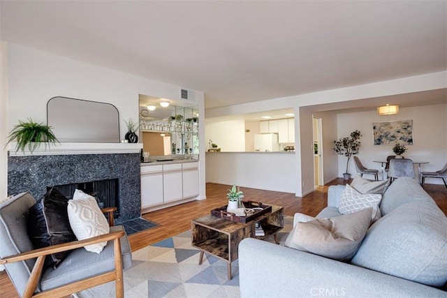 living room featuring a fireplace and light wood-type flooring