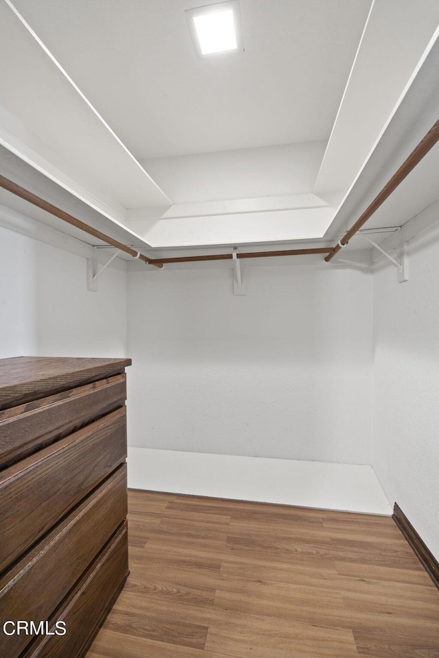 spacious closet with wood-type flooring