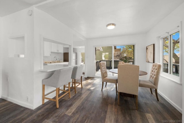 dining space with dark wood-type flooring and sink