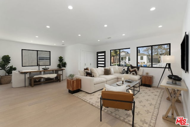 living room with light hardwood / wood-style floors