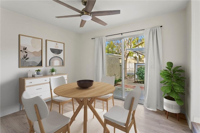 dining room with ceiling fan and light hardwood / wood-style floors