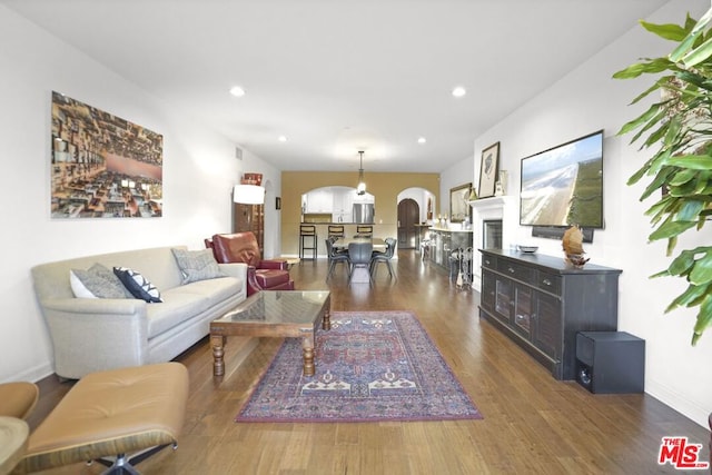 living room featuring dark hardwood / wood-style floors